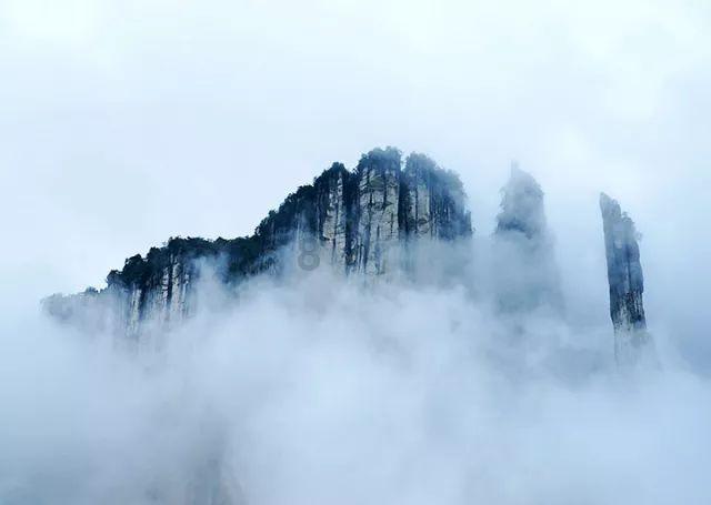 您好，C36A绿紫勋和其他花纹的同种紫勋，后代长什么样子呢 ？