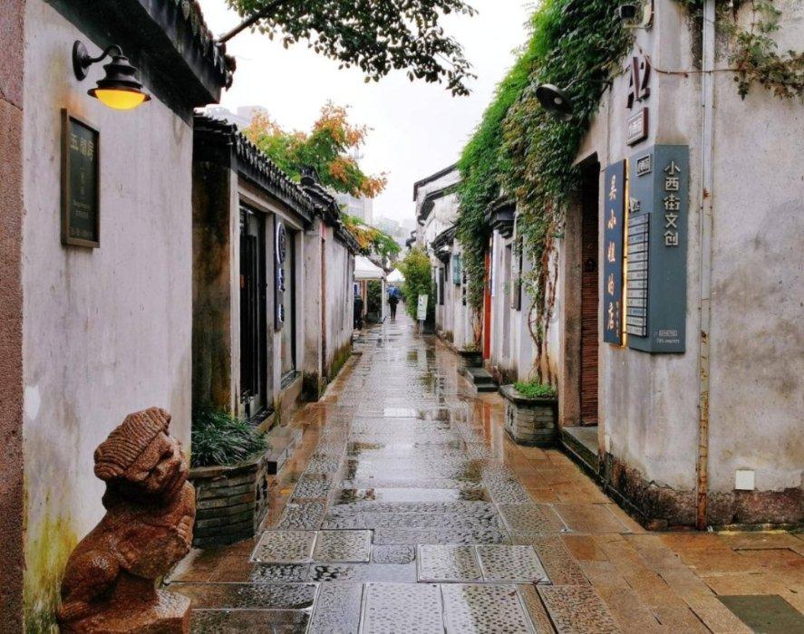 以“绿”为底,绘就活力中国新画卷